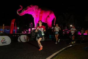 BIB: 
                            <button type="button" onclick="openModal(26534906)" class="btn btn-primary btn-sm float-right btn-popup" data-toggle="modal" data-target=".modal-high-quality">
                        <i class="fas fa-shopping-cart"></i> Add to Cart
                    </button>
                                            <button type="button" onclick="isThisMe(26534906, true)" class="btn btn-success btn-sm float-right btn-popup btn-isme hidden" data-toggle="tooltip" data-placement="bottom" title="นี่คือรูปของคุณใช่ไหม คลิกที่นี่เพื่อเอาเข้าอัลบั้ม">
                        <i class="fas fa-plus"></i> Add to album
                    </button>
                    <button type="button" onclick="isThisMe(26534906, false)" class="btn btn-warning btn-sm float-right btn-popup btn-isnotme hidden">
                        <i class="fas fa-ban"></i> Remove from album
                    </button>